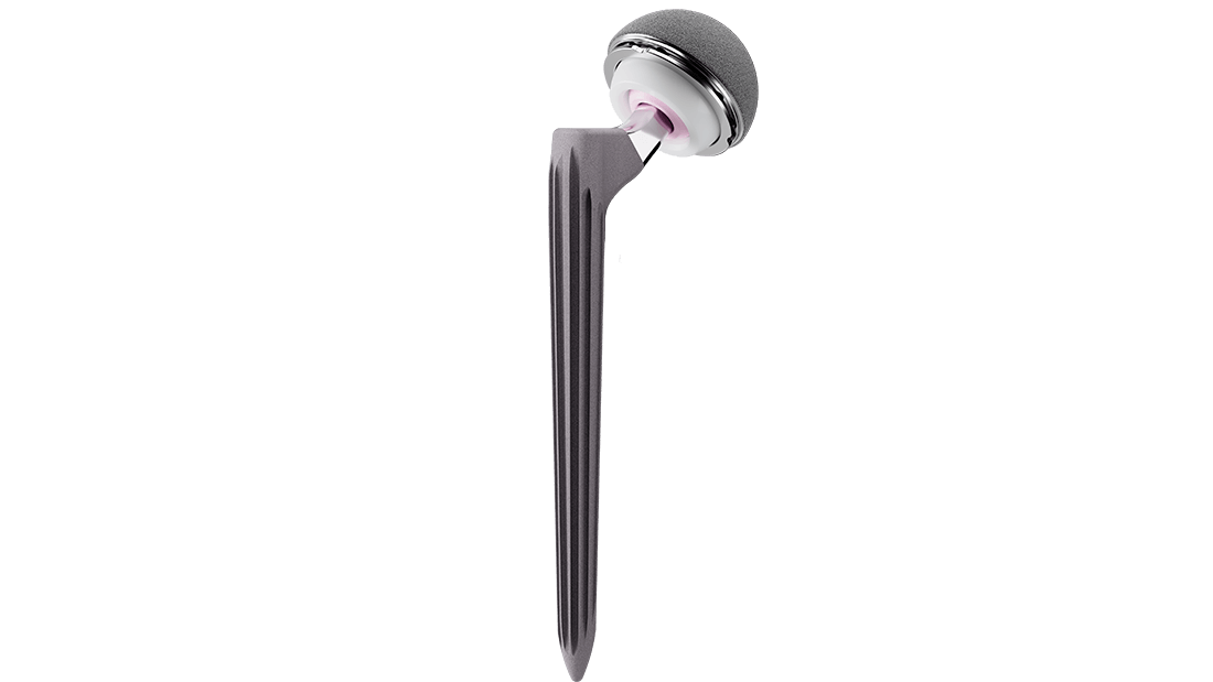 The Reclaim Monobloc stem with a Pinnacle Dual Mobility Shell