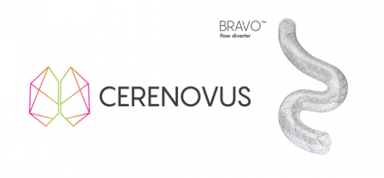 BRAVO Flow Diverter