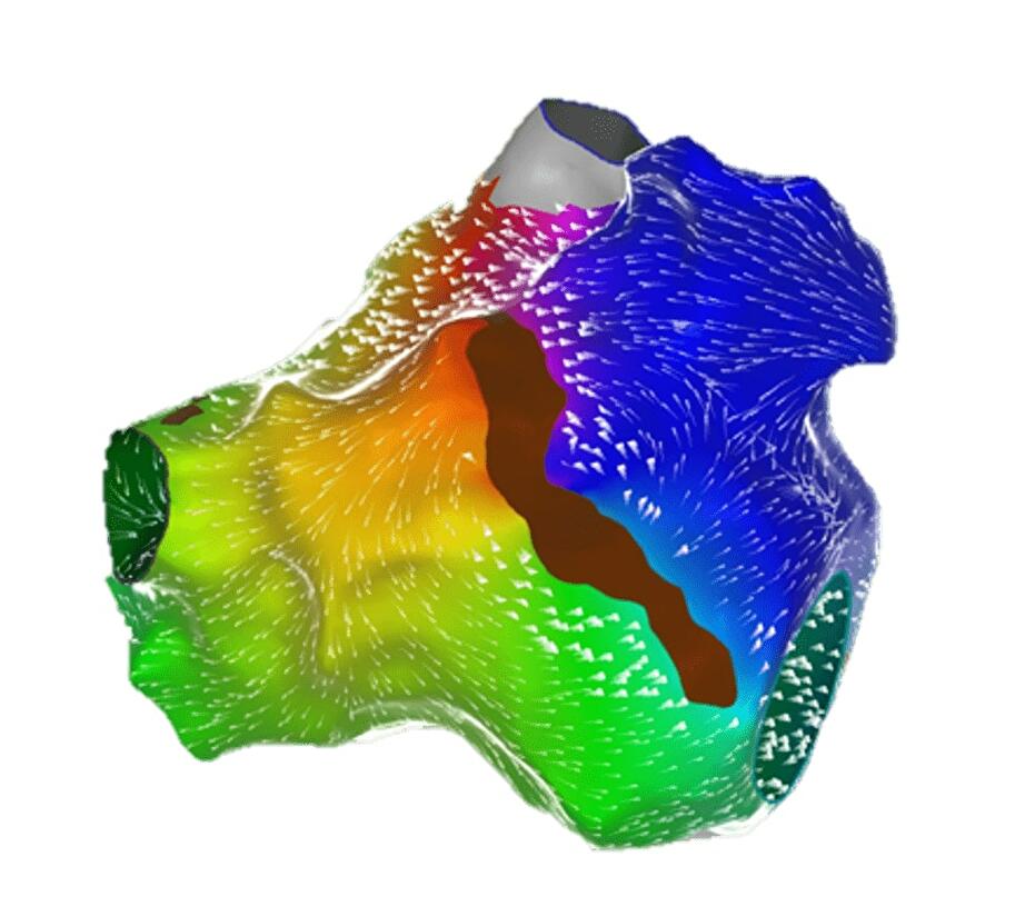 CARTO PRIME®